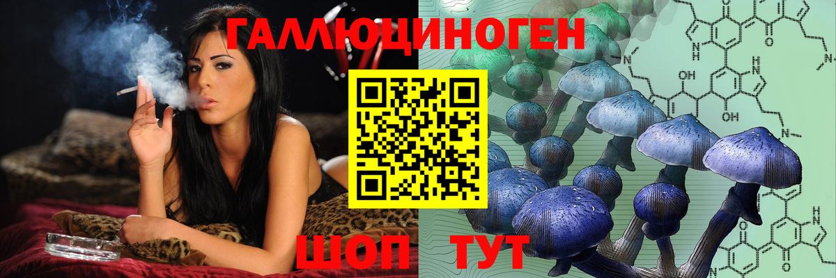 продажа наркотиков  Псилоцибиновые грибы Cubensis  Вход с VPN  Галлюциногенные грибы Psilocybe  Краснознаменск 